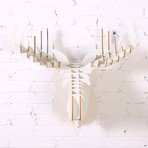 Stag (Ash)
