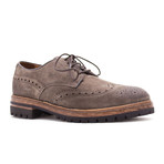 Edisson Suede Brogue Derby // Caribou (Euro: 41)