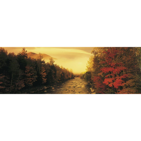 New Hampshire Stream (12"H" x 36"L)