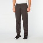 Aspect Pants // Asphalt (L)