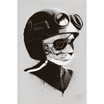 Cat Racer (16"W x 24"H x 2"D)