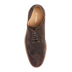 Max Wingtip Oxford // Chocolate Suede (US: 10)