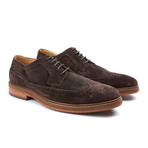 Max Wingtip Oxford // Chocolate Suede (US: 10)