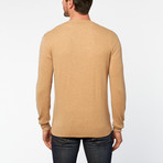 Vee Neck Sweater // Brown & Camel Argyle (XL)