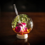 Halm // Set of 2