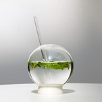 Halm // Set of 2