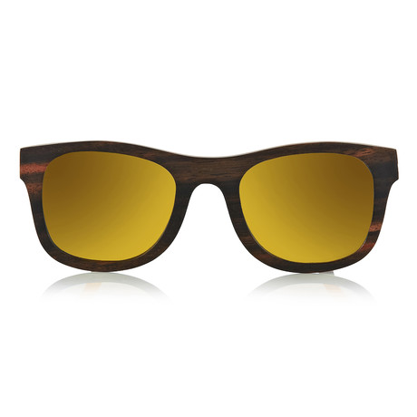 Ledbury Sunglasses // Ebony + Gold