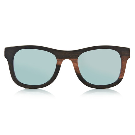 Ledbury Sunglasses // Silver + Ebony