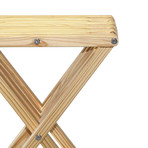 End Table X45 (Alligator Green)