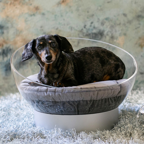 Clear Acrylic Round Dog Bed (Berry Blue)