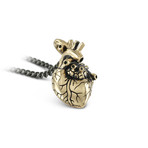 Small Anatomical Heart Necklace (Bronze // 20" Gunmetal Chain)