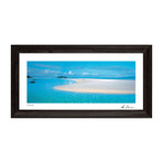 Paradise (Framed Giclee // 65.2"L x 35.67"H)