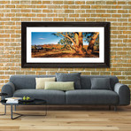 Flinders Ranges (Fine Art Giclee Print // 36"L x 9.5"H)