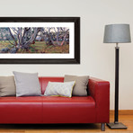 High Country Shelter (Fine Art Giclee Print // 36"L x 9.5"H)