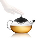 Glass Teapot + Tea Egg