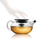 Glass Teapot + Tea Egg