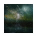 Fireworks, Full Moon