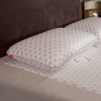 Cool Pointe // Latex Pillow + Cooling Fabric