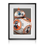 BB-8 (13"L x 19"W)