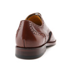 George Two Tone Wingtip Derby // Dark Brown + Navy (US: 13)