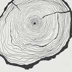 Samuel Johnson // The Wait