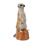 Meerkat