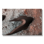 Mars Dunes