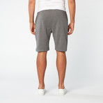 Crown Shorts Grey // Grey (S)