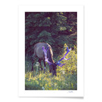 Mystical Bull (16"L x 20"H)