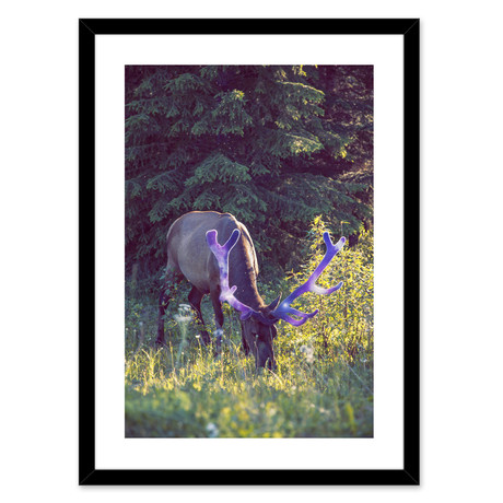 Mystical Bull (16"L x 20"H)