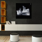 The Picture House (18"W x 18"H x 0.75"D)