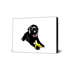 Hedgy (25"W x 20"H x 2"D)