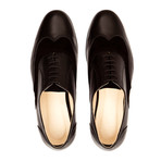 Lord Chancellor Suede + Leather Wingtip Oxford // Brown (Euro: 40)