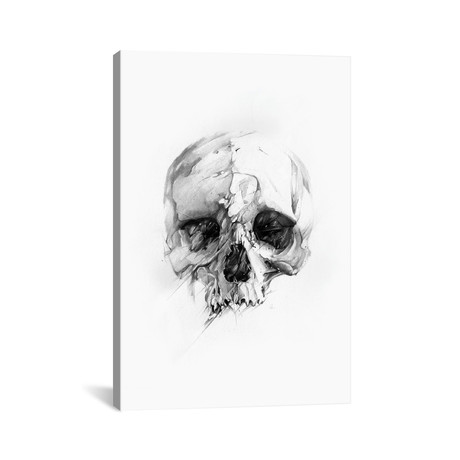 Skull XLVI // Alexis Marcou (26"W x 18"H x 0.75"D)