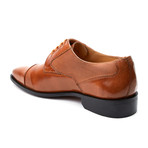 Eleganza // Lace-Up Cap Toe // Tan (US: 11)