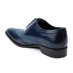 Eleganza // Two-Tone Wing Tip Lace-Up // Navy (US: 7)