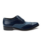 Eleganza // Two-Tone Wing Tip Lace-Up // Navy (US: 7)