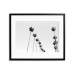 LA Palms (16"L x 12"H)