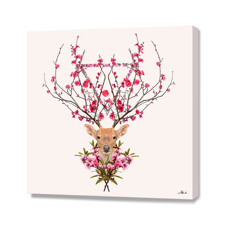 Spring Deer (16"W x 16"H x 1.5"D // Stretched Canvas)