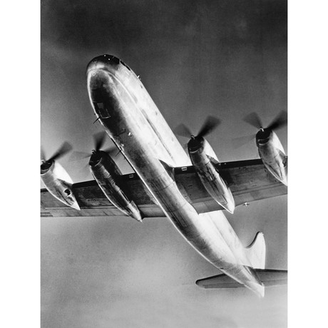 View of Large Airplane in Flight (18"W x 24"H)
