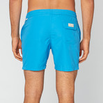 Arthur Swim Trunk // Blithe (M)