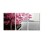 Pink Tree, Boat and Lake