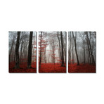 Red Forest Mist