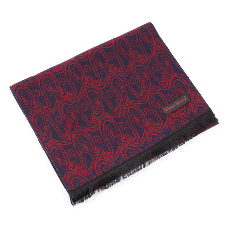 Brushed Silk Paisley Scarf // Navy + Red