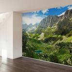 Into the Valley Wall Mural Decal (4 Panels // 93" Width)