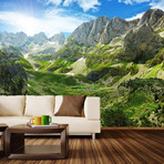 Into the Valley Wall Mural Decal (4 Panels // 93" Width)