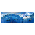 World Under The Waves (20"W x 20"H x 0.5"D)