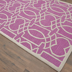 Modern Marvel Braylin // Radiant Orchid