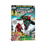 Spider-Man Issue Cover #122 (18"W x 26"H x 0.75"D)