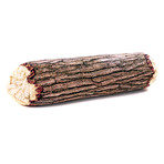 Cottonwood Tree Log // Bolster Pillow